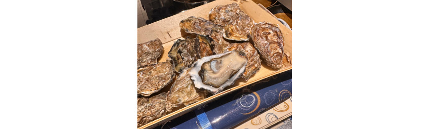 愛爾蘭 Irish Cooley Oysters 