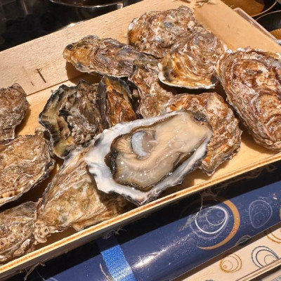 愛爾蘭 Irish Cooley Oysters 富利黃金蠔 N0 12隻